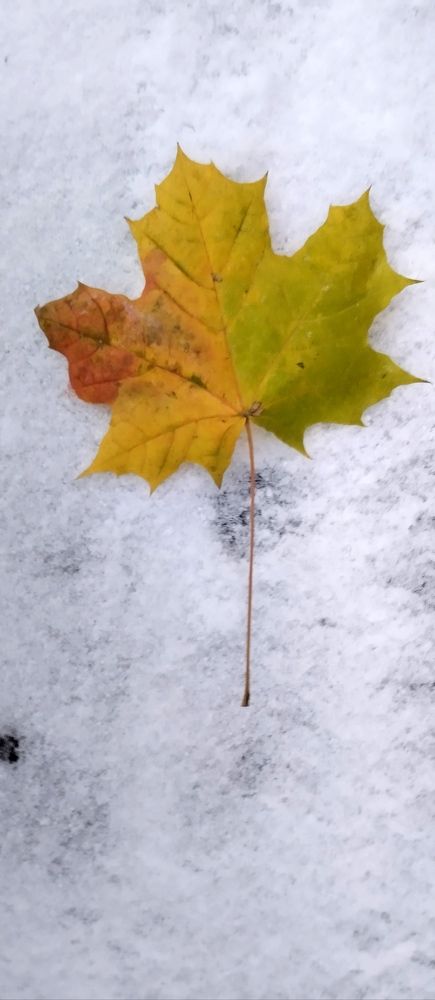 Photograph by Елена Малкова