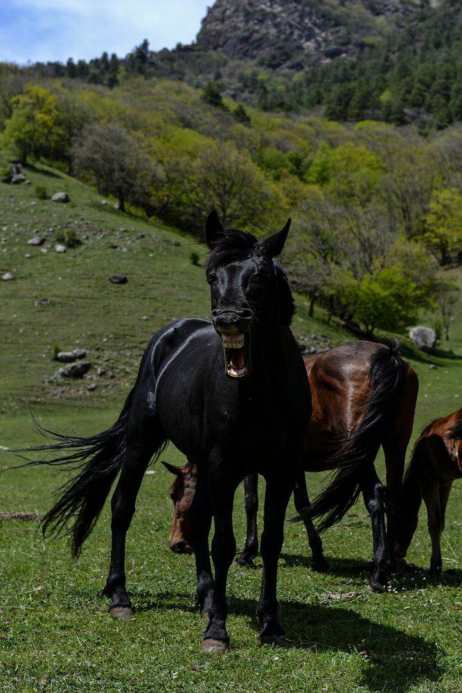 Photograph by Анна Петриенко