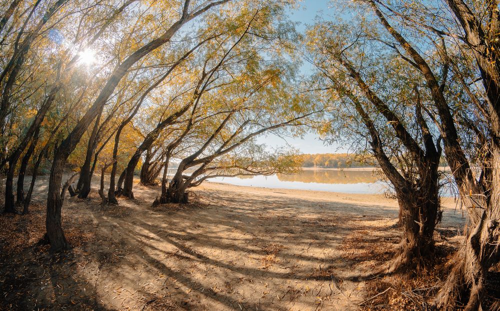 Фотография автора Вадим Коваленко