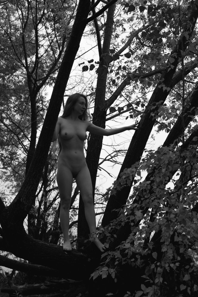 Фотография автора Nadezhda Neklyudova