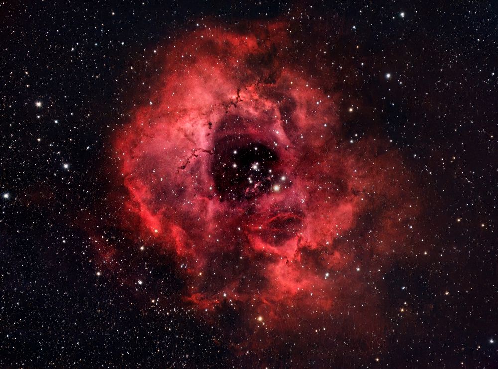Rosette Nebula