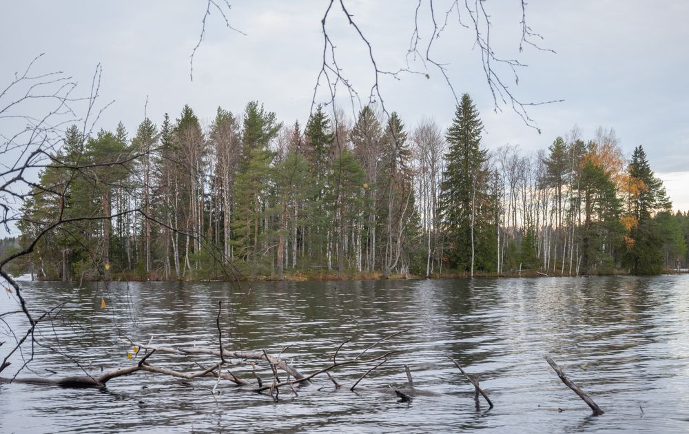 Photograph by Александр Устинов