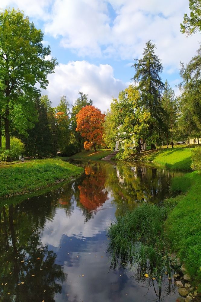 Фотография автора Анастасия