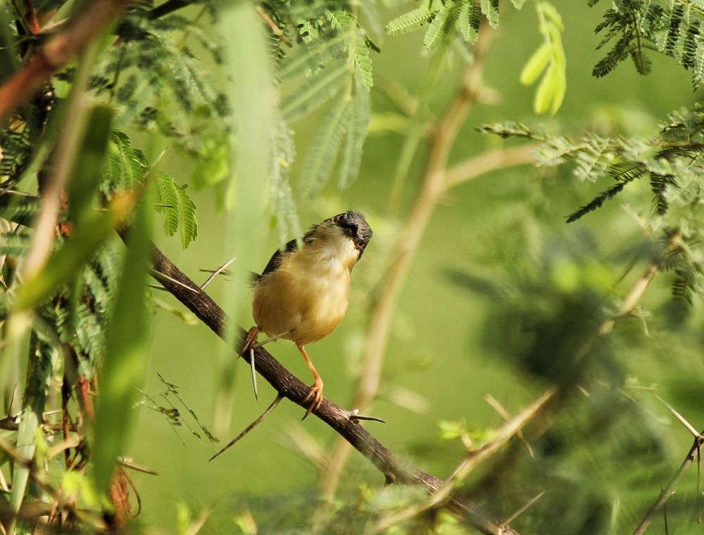 Photograph by anvita trivedi