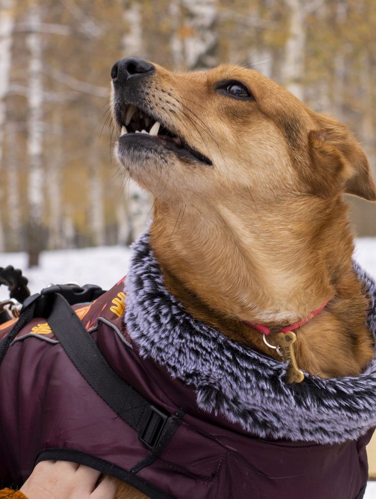 Photograph by Олеся