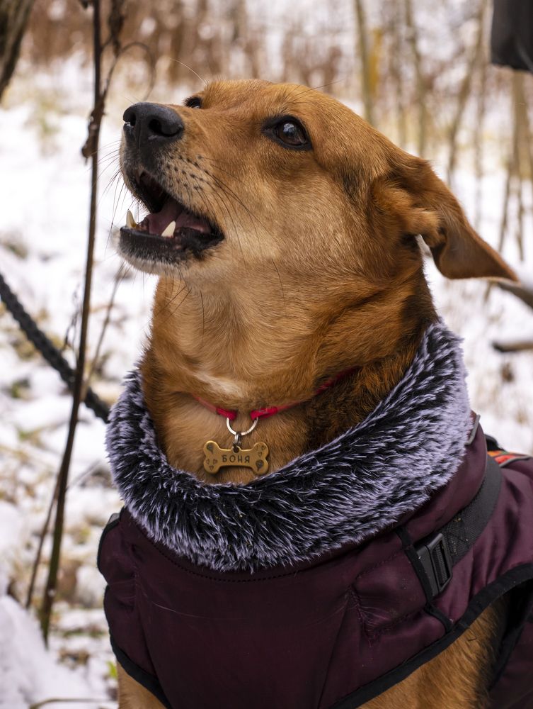 Photograph by Олеся