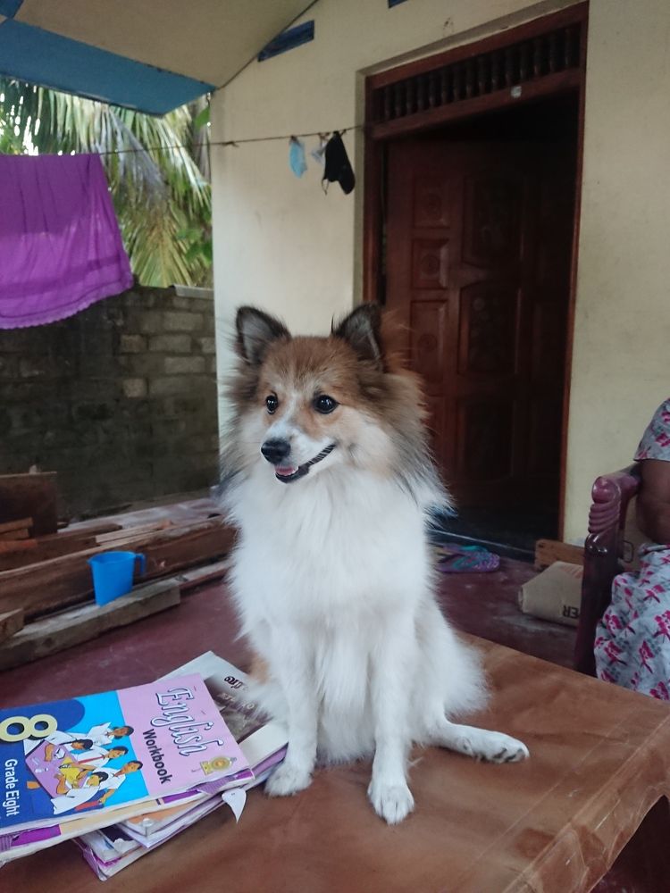 Photograph by K.AKILA NIDUSH