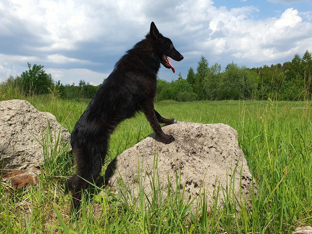 Фотография автора Надежда Лисицына