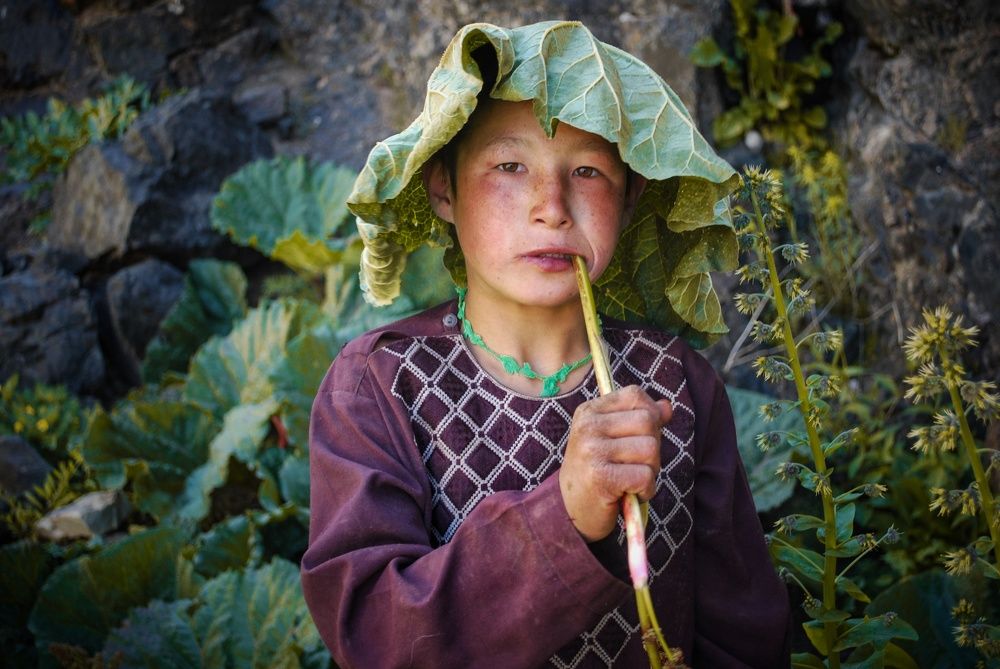 Photograph by Sardar Hasani