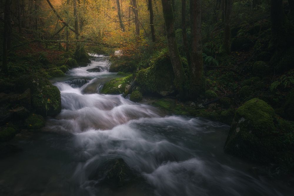 Photograph by de Franzoni Thomas