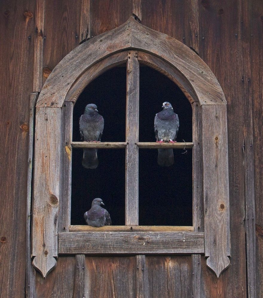 Photograph by Leanid Kulpo