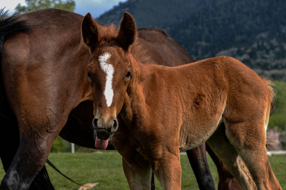 Photograph by Анна Петриенко