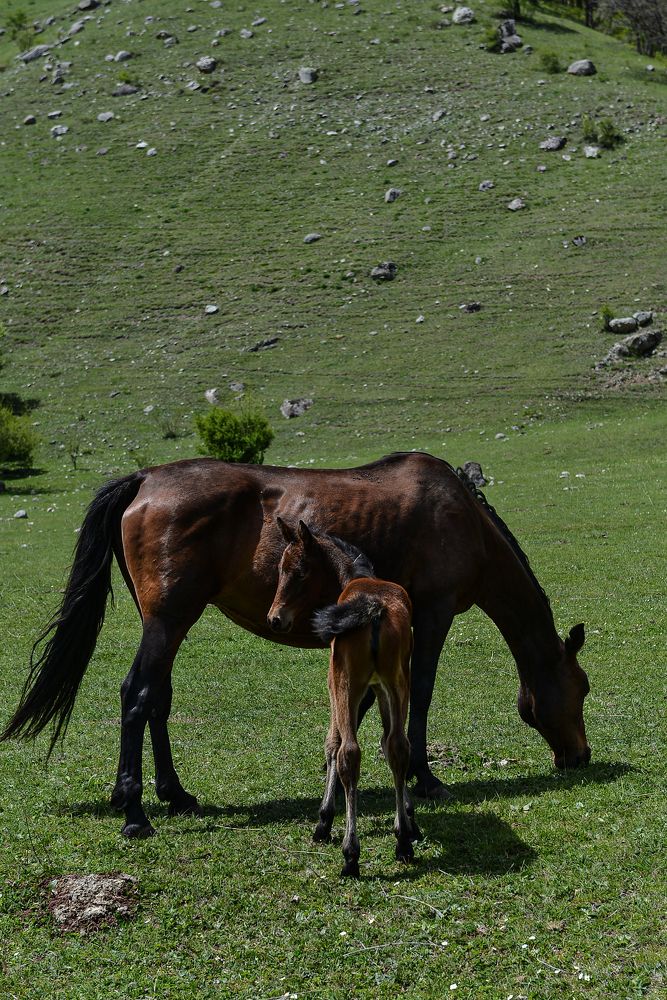 Photograph by Анна Петриенко