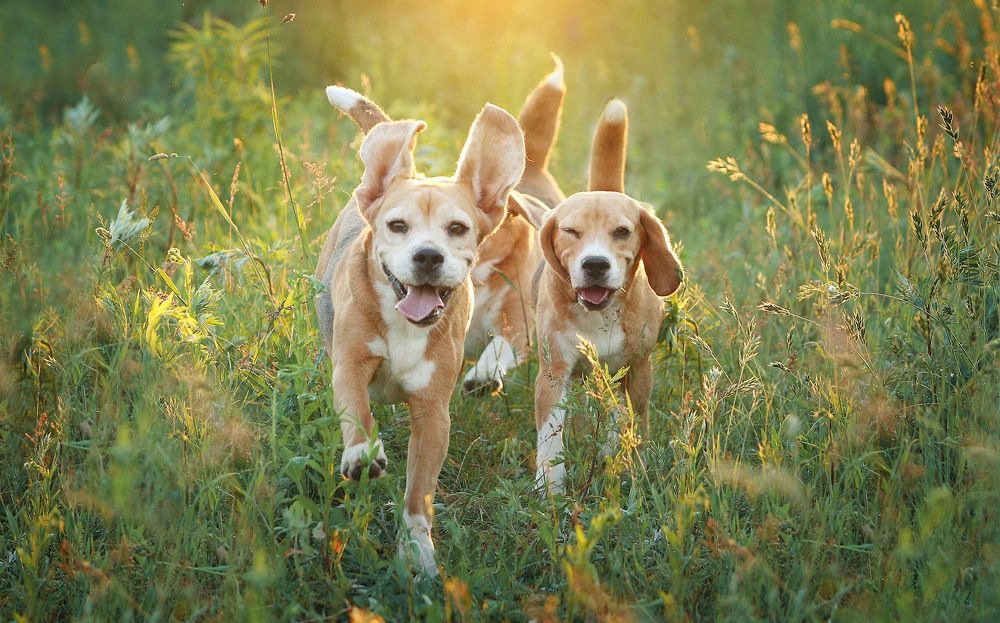 Фотография автора Katerina Mumzhinskaya