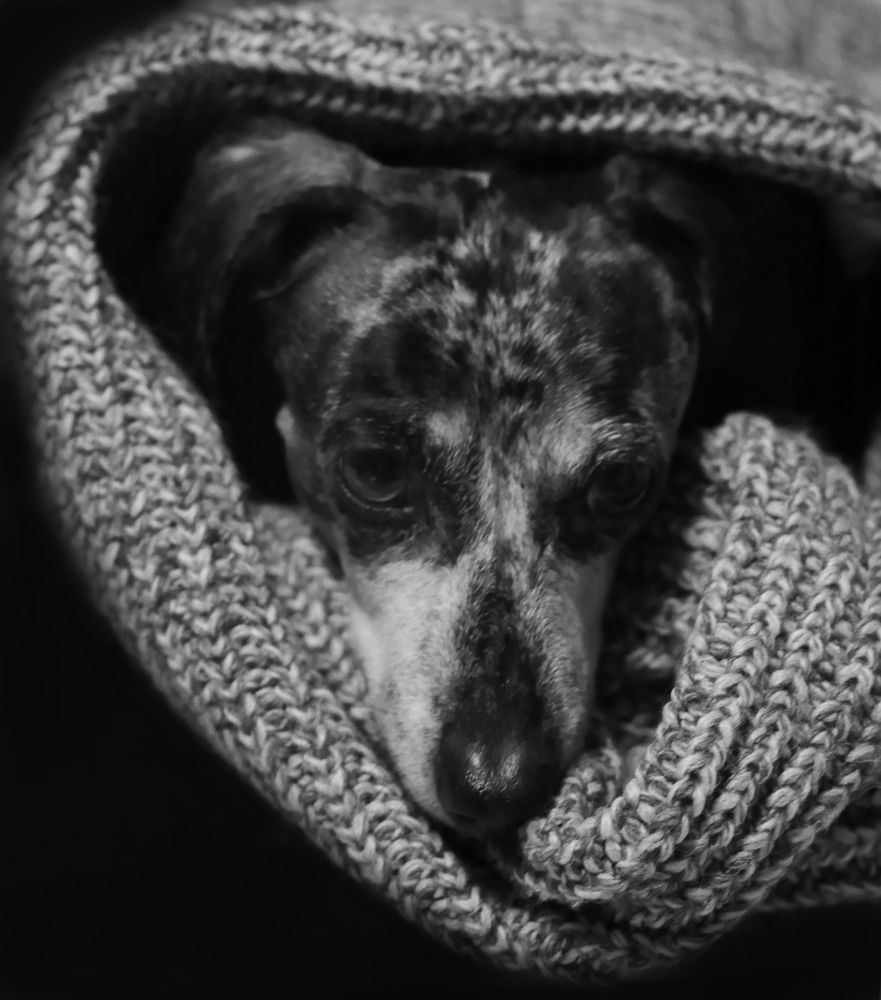 Photograph by Ирина Бескровная