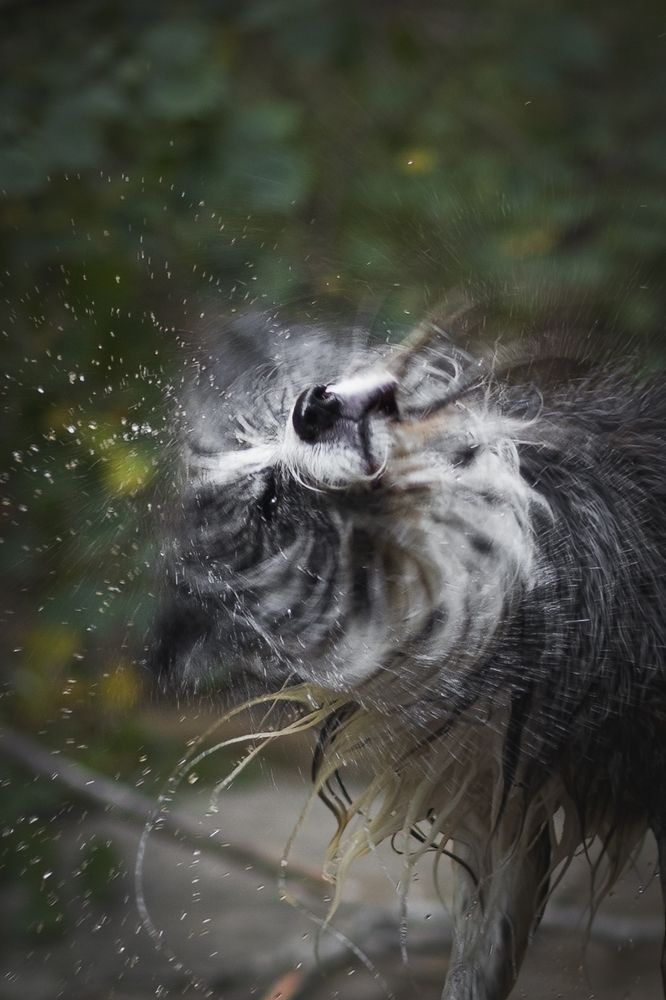 Photograph by GRISELDA FERNANDEZ