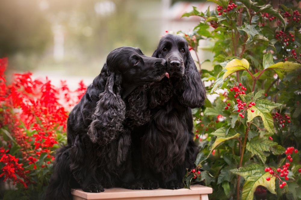 Photograph by Наталья Степанова