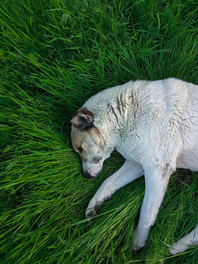 Photograph by Roghayeh Dannandeh