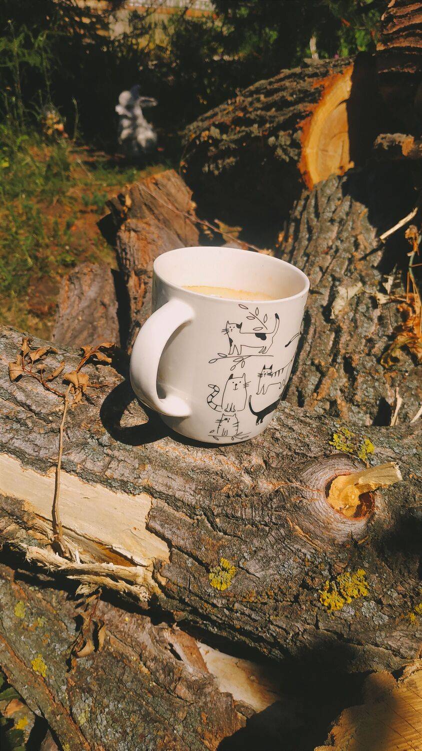 Photo #9791573