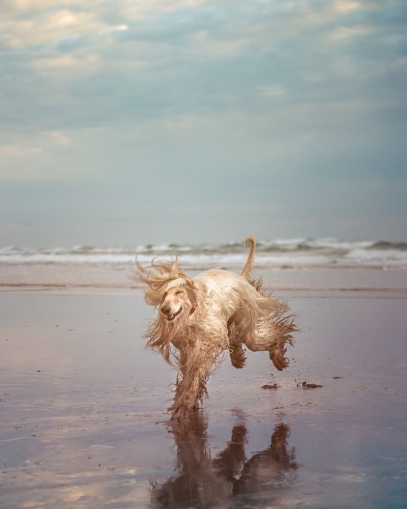 Photograph by Evgeniya Stafeeva