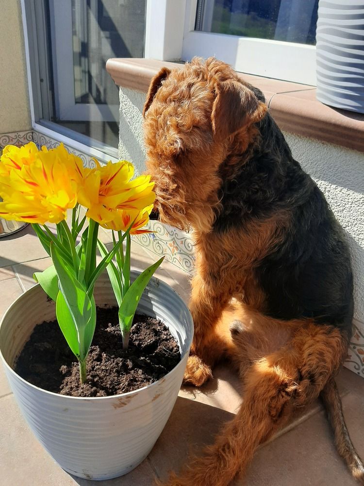 Photograph by Алиса Мамышева