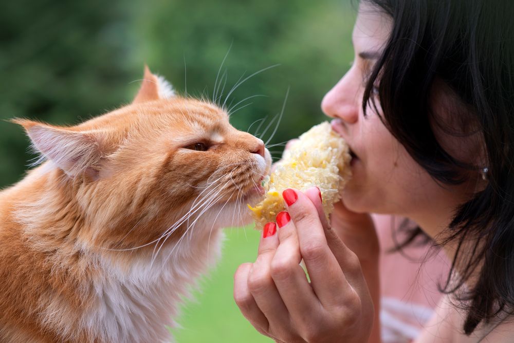 Photograph by Ala Botnarescu