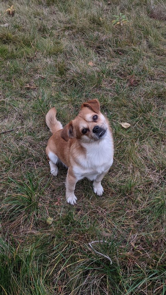 Фотография автора Васильева Ирина