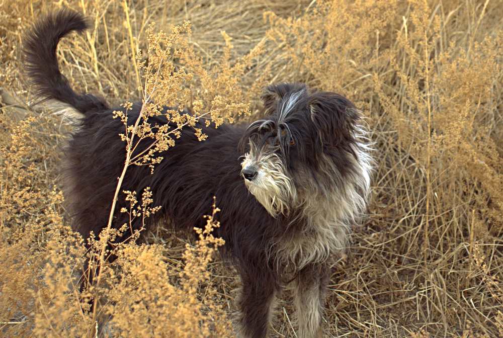Photograph by Олег Хамуев