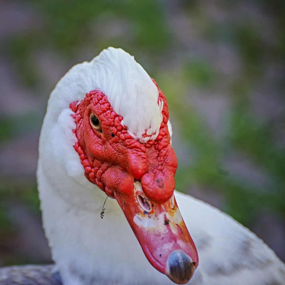 Photograph by Валерий