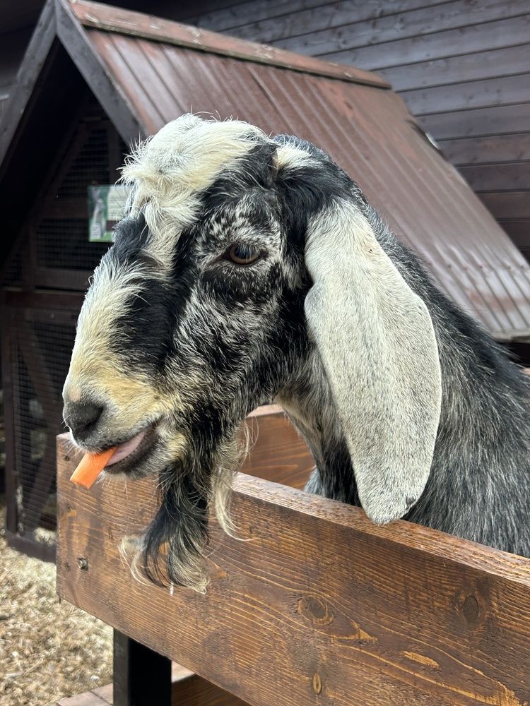 Photograph by Виталия