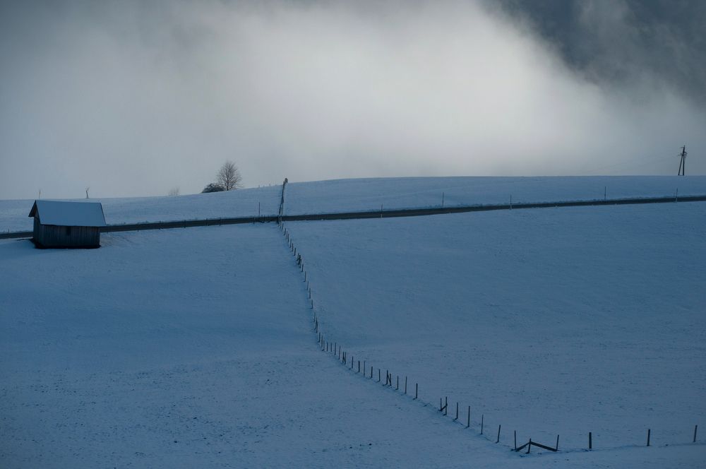 Photograph by Ala Botnarescu