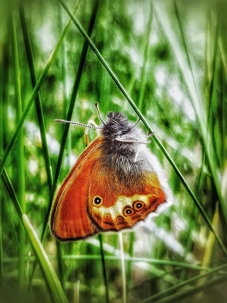 Photograph by Марина