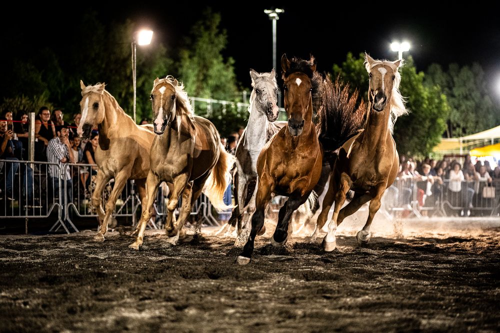 Photo #9791702
