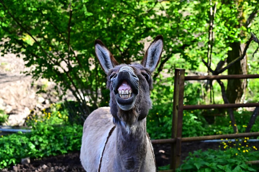 Photograph by Светлана Ивановна