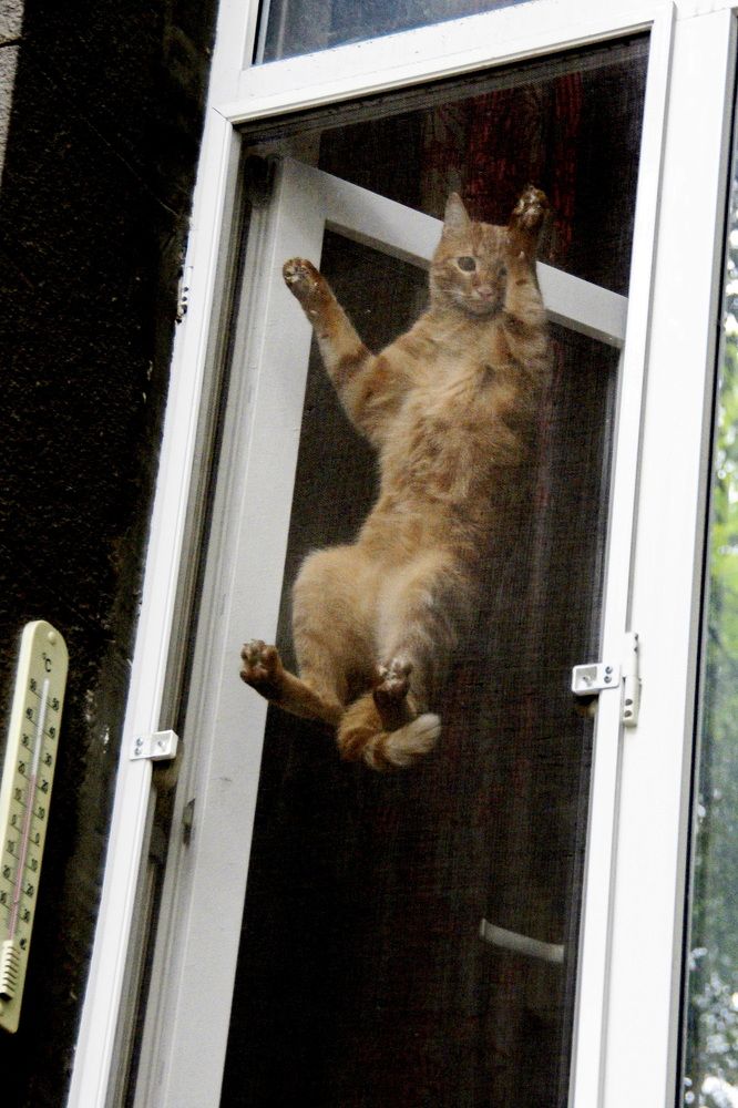 Photograph by Жиляев Евгений