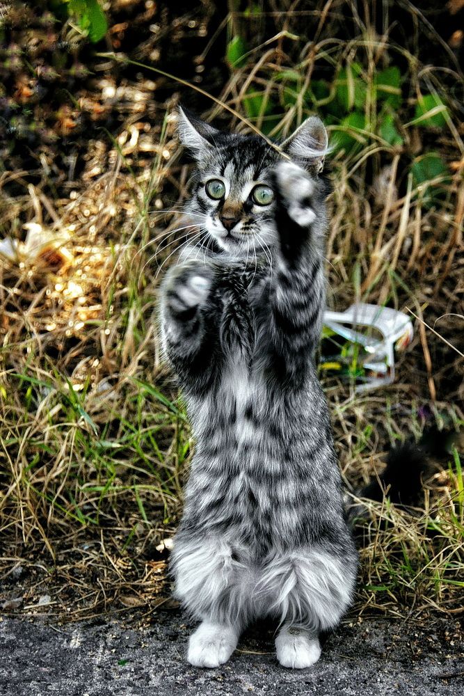 Photograph by Жиляев Евгений