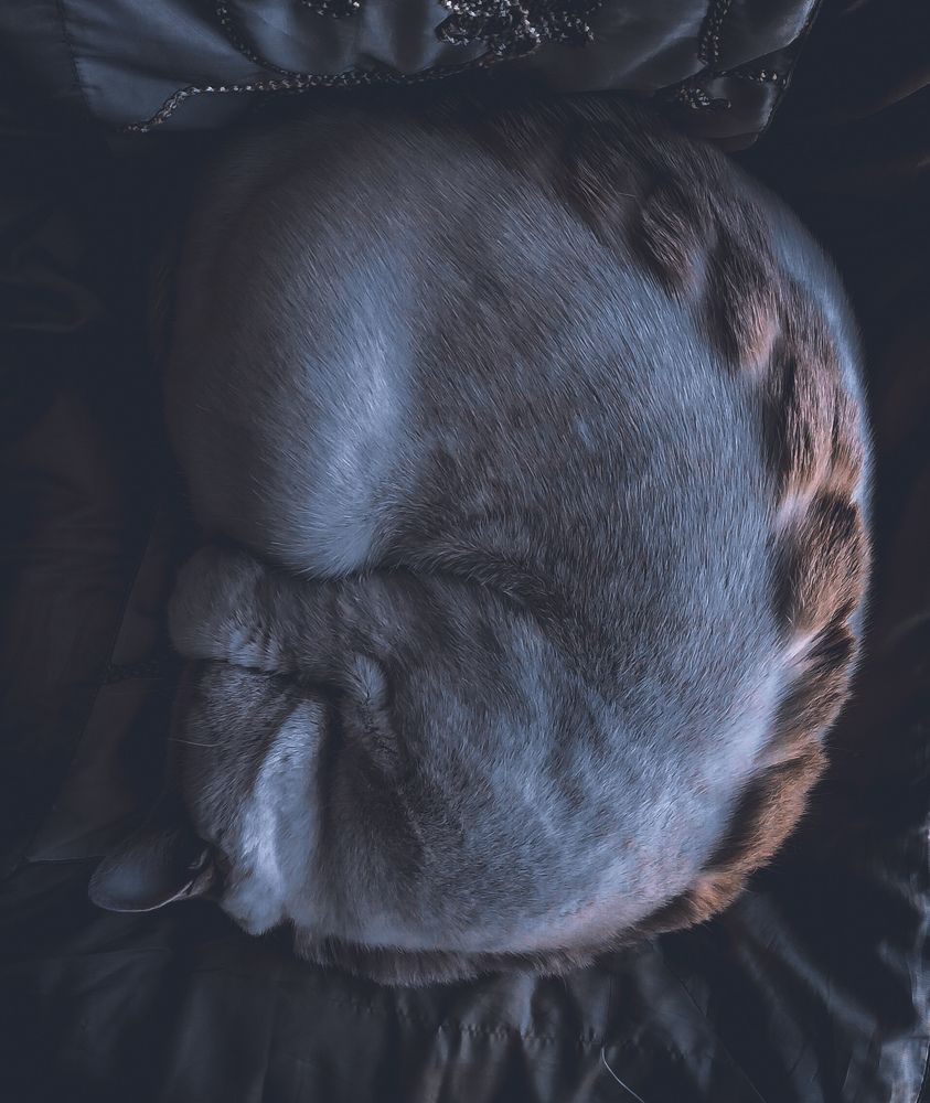 Фотография автора Дмитрий Писарев