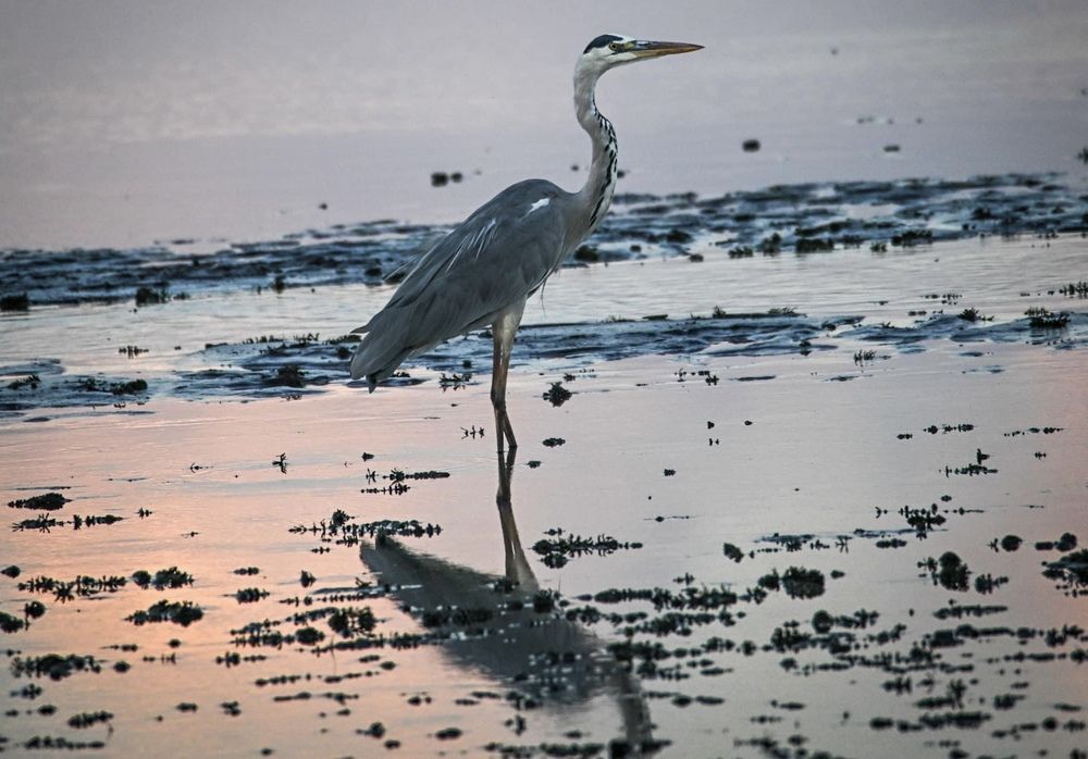 Фотография автора Mohammad sajd Abo abrahemm