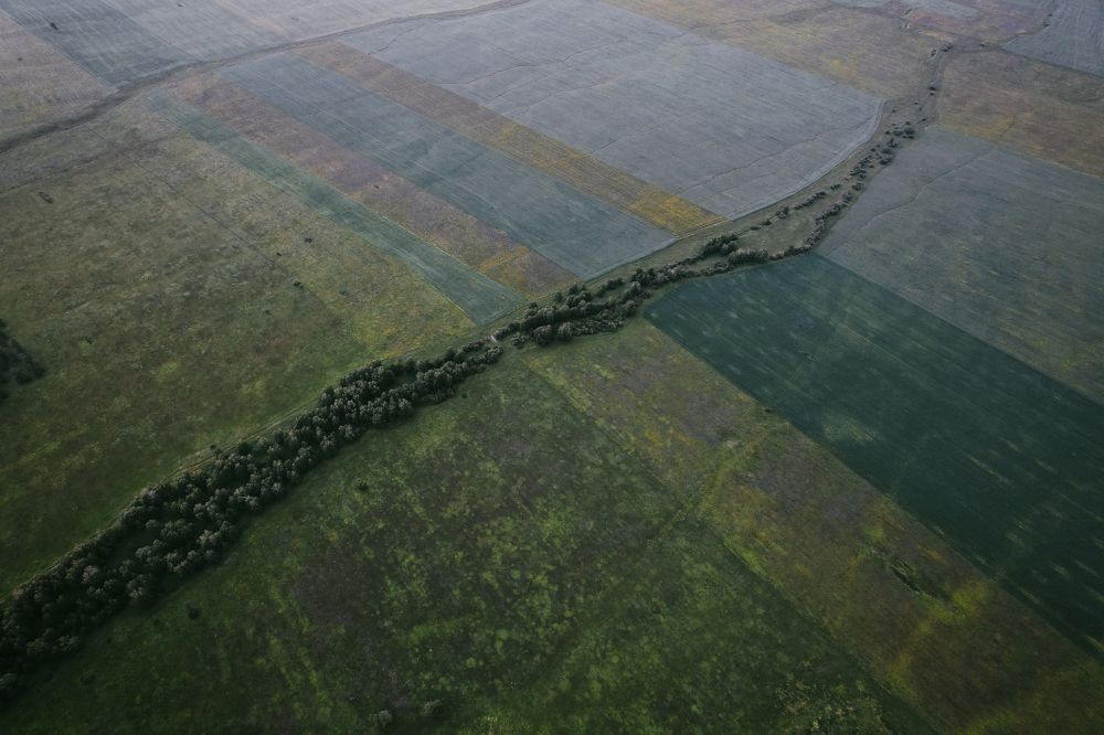 Photograph by Дмитрий Синицын