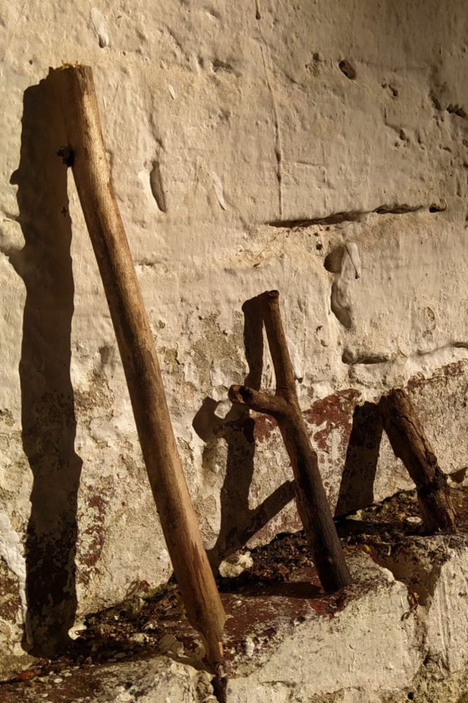 Photograph by Егорова Анфиса Александровна