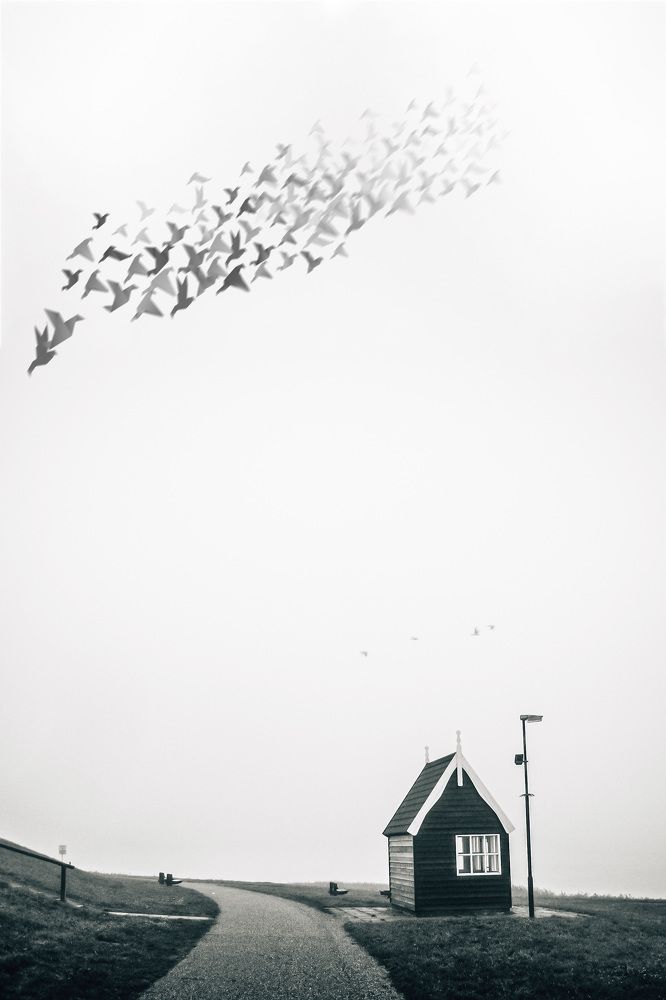 Photograph by Aljona Dyachenko