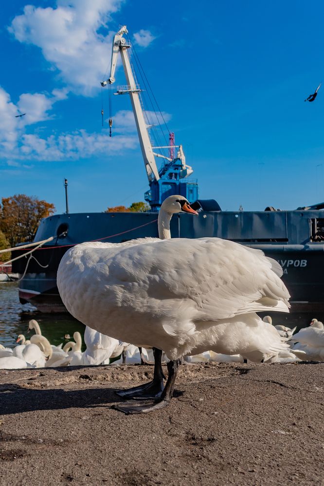 Photograph by Светлана