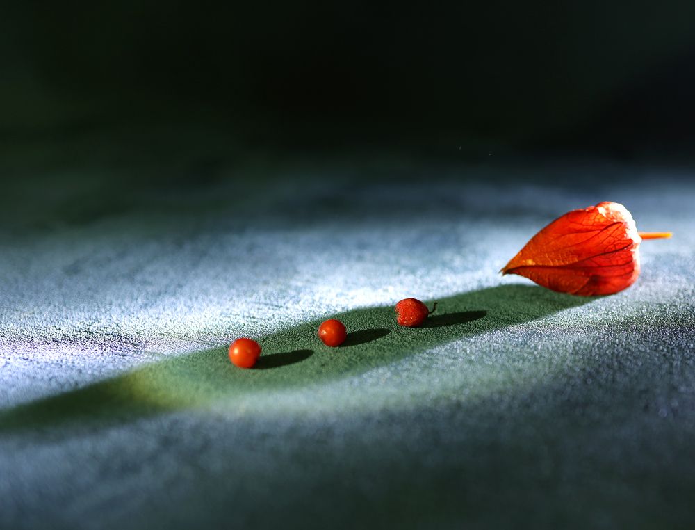 Photograph by Наталья Адалинская