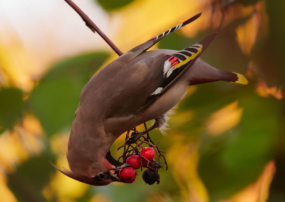 Photograph by Дарья Басова