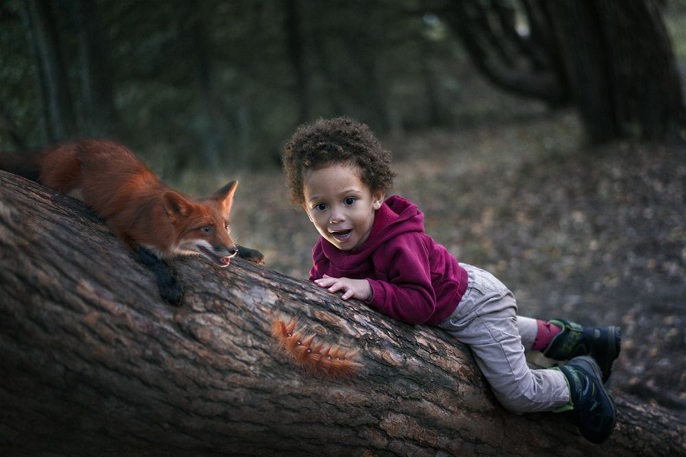 Подскажите, как проползти в библиотеку?