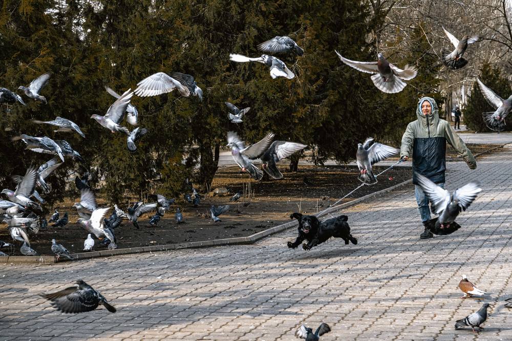 Хозяин! Я взлетаю!