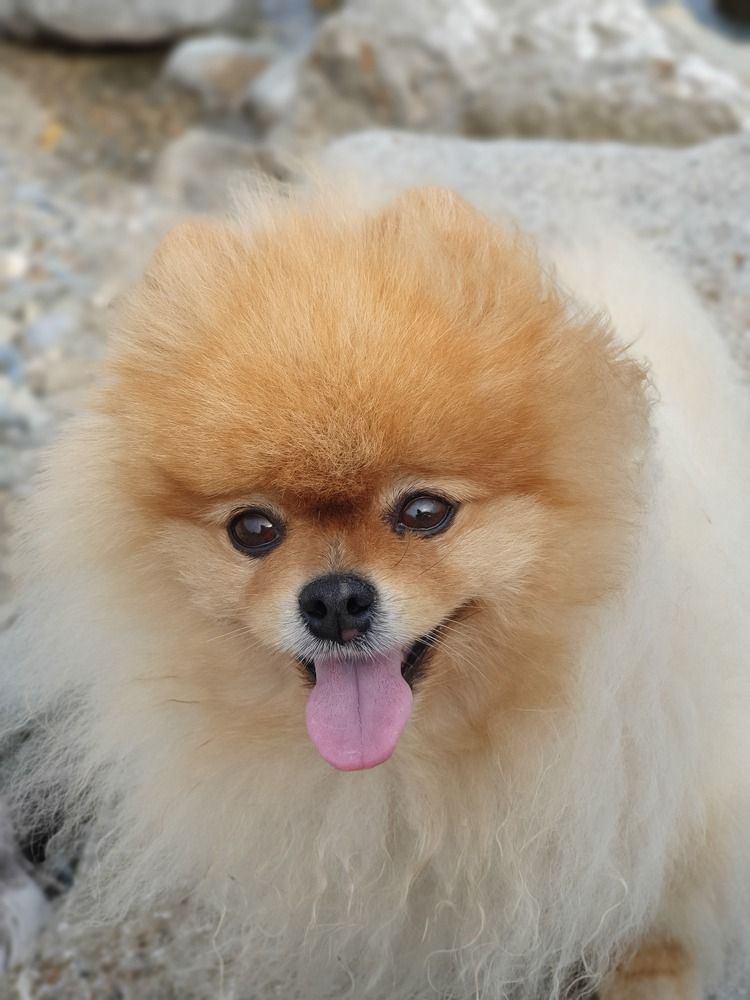 Photograph by Алена Салмина