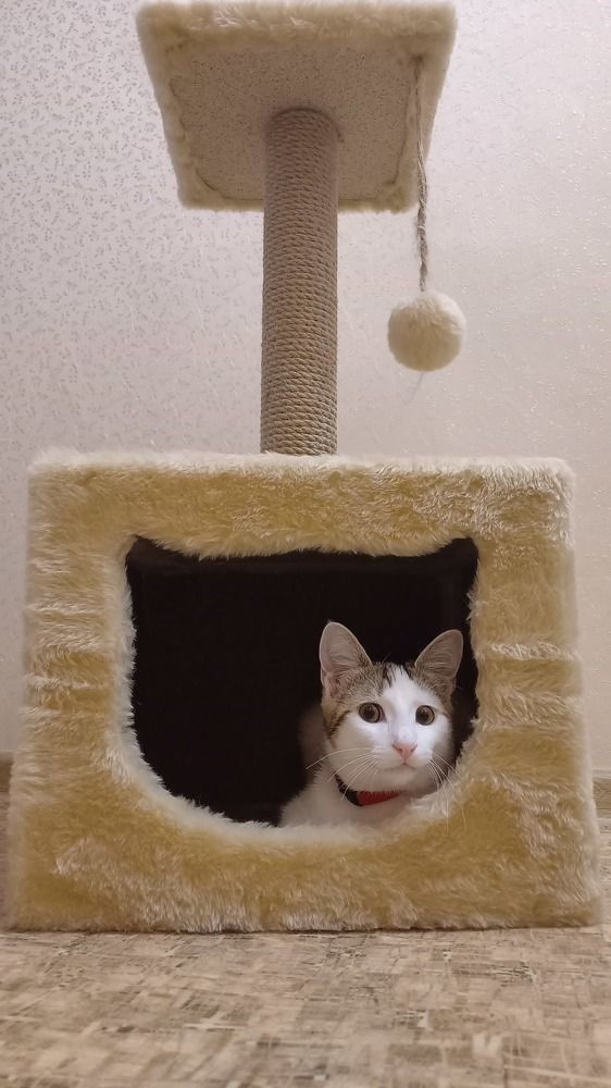 Photograph by Львица Катюша