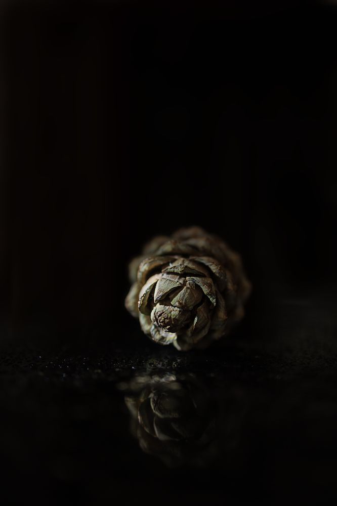 Photograph by Бальзирова Наталья