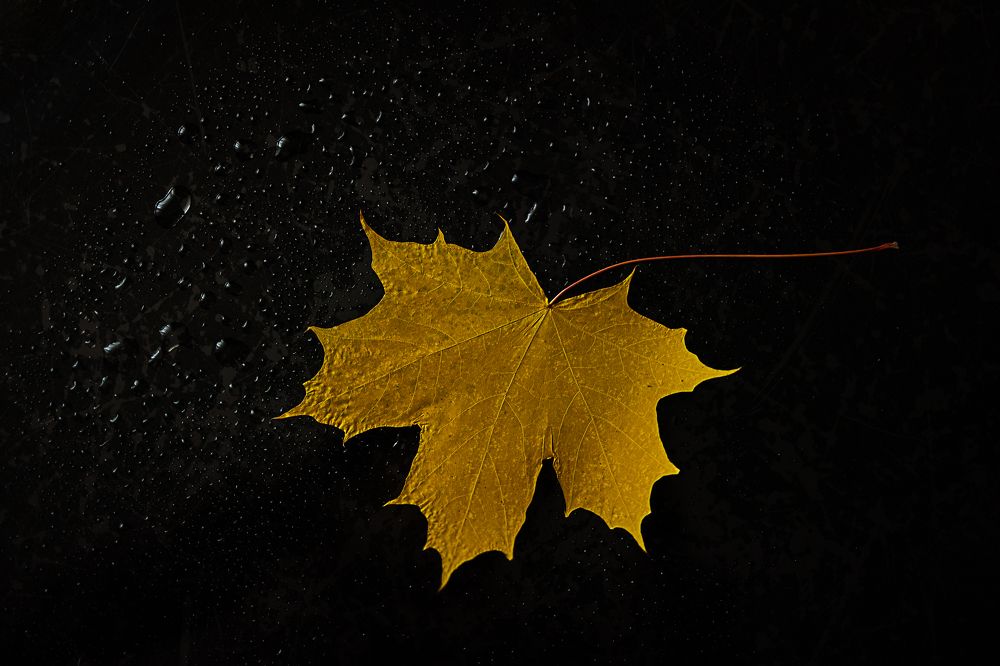 Photograph by Бальзирова Наталья